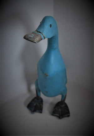 Blue Duck