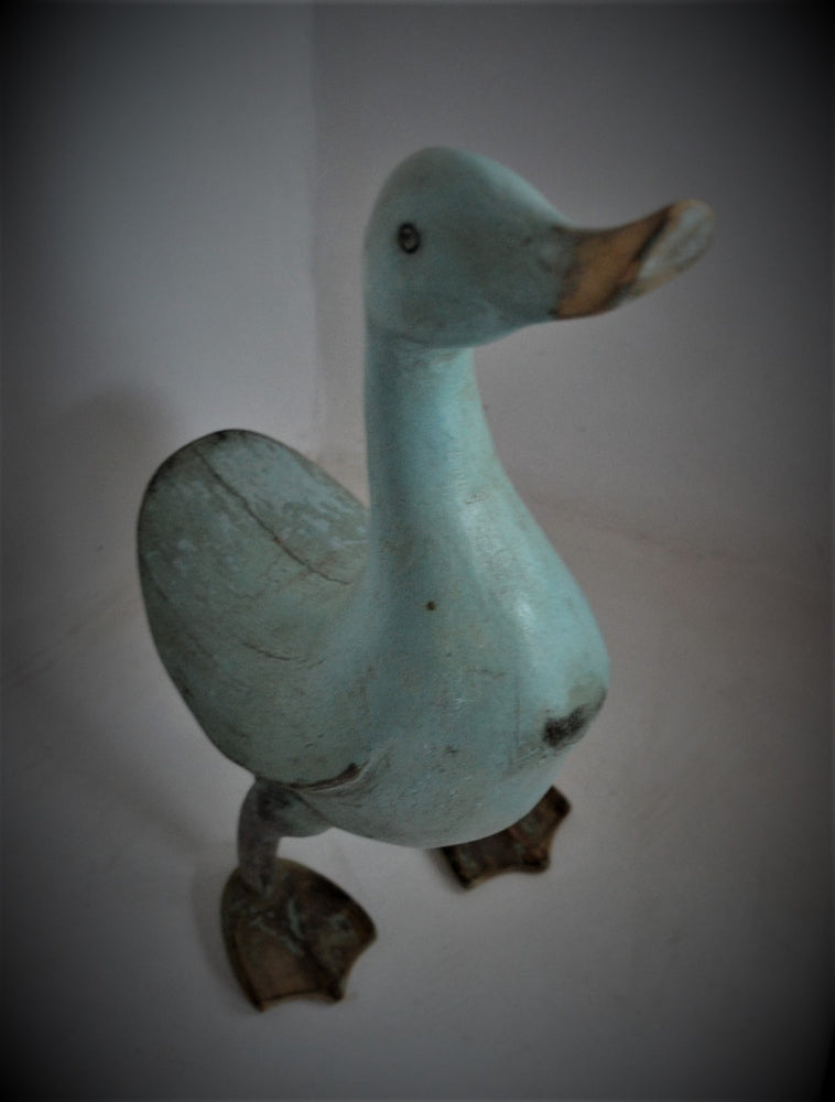 Turquoise Duck