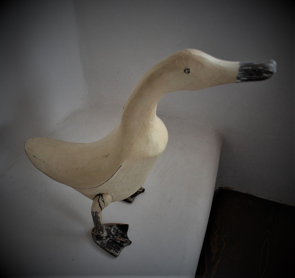 White Duck - Looking Forward