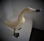 White Duck - Looking Forward